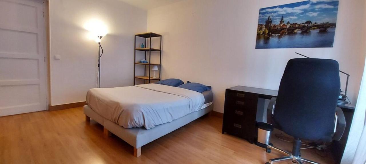 Apartment La Paix Avec 2 En Plein Coeur D'annecy *