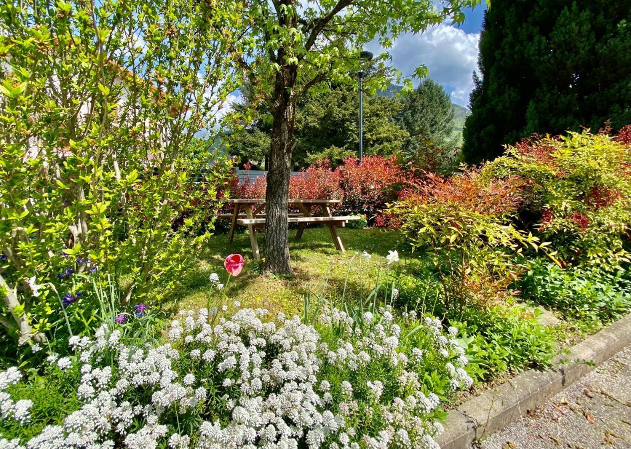 La Branche Du Cerisier