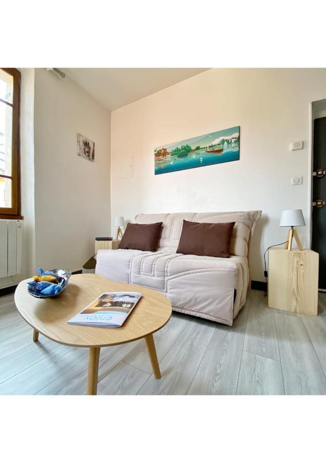 Coup De Coeur Au Pied Du Château - Joli Idéalement Placé Appartement Annecy