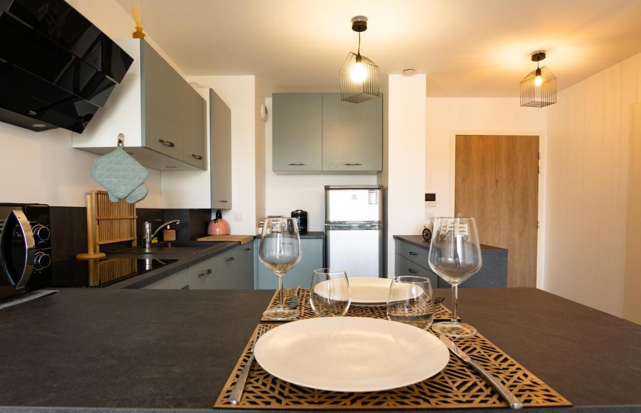85 Geneve Confortable T2 Avec Parking Prive Annecy