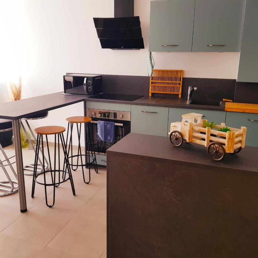 Apartment 85 Geneve Confortable T2 Avec Parking Prive *