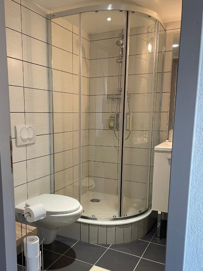 Apartment Sous Les Toits Centre-ville Annecy