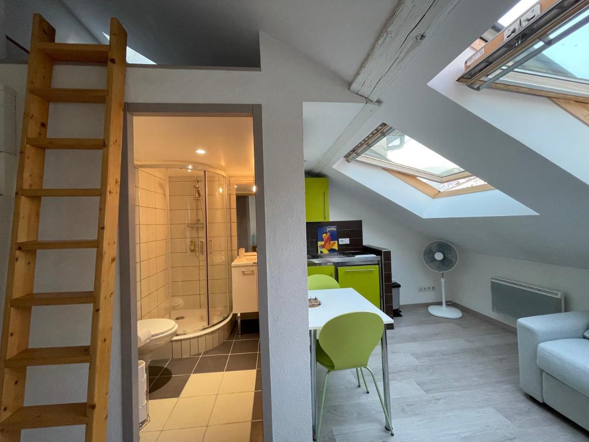 Apartment Sous Les Toits Centre-ville *