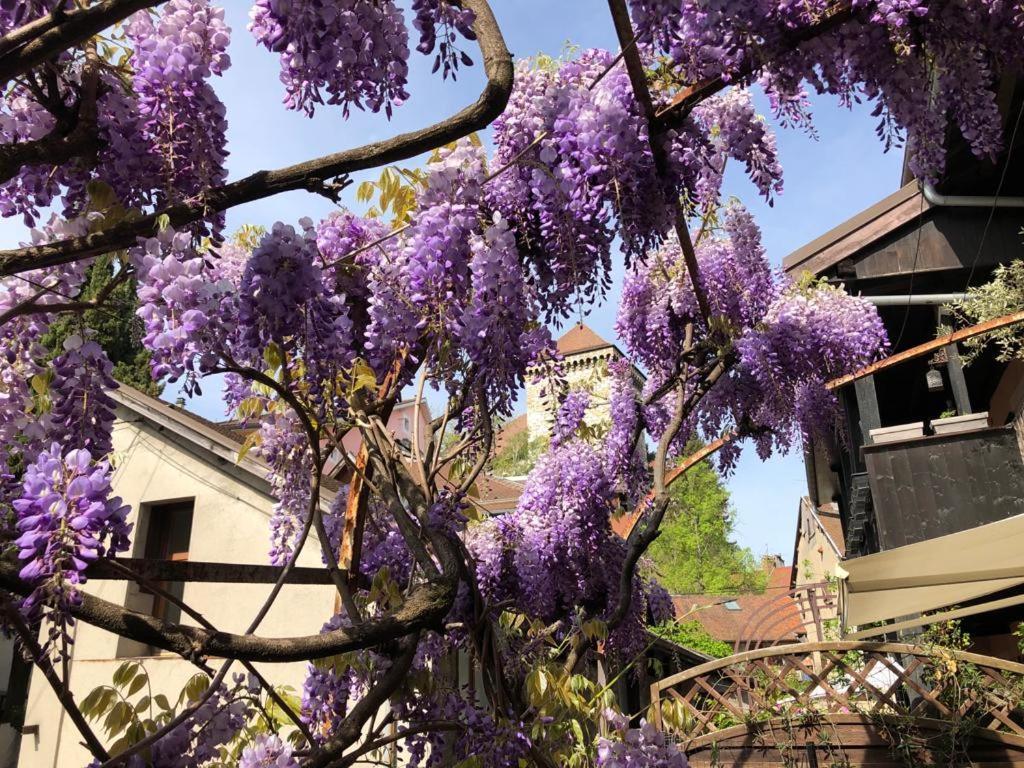 La Glycine Du Faubourg Apartment Annecy