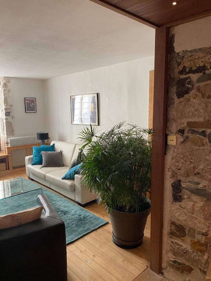 Charmant Appartement Annecy Apartment *