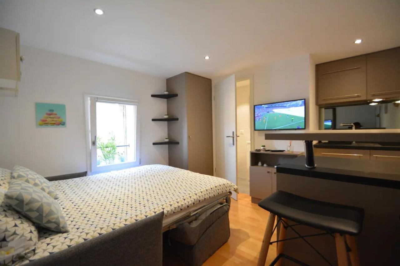 Apartment Paquier Hyper Centre Old Town Annecy