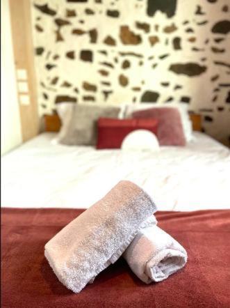 Apartment Le Venitien - Vieille D'annecy - Majord'home