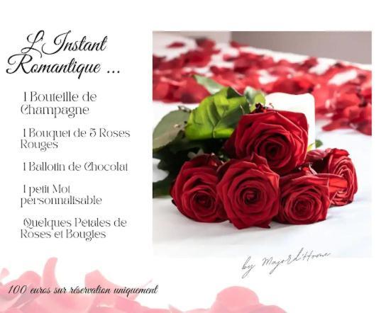 Apartment Majord'home 4* - Le Bonbon -coeur Vieille Annecy
