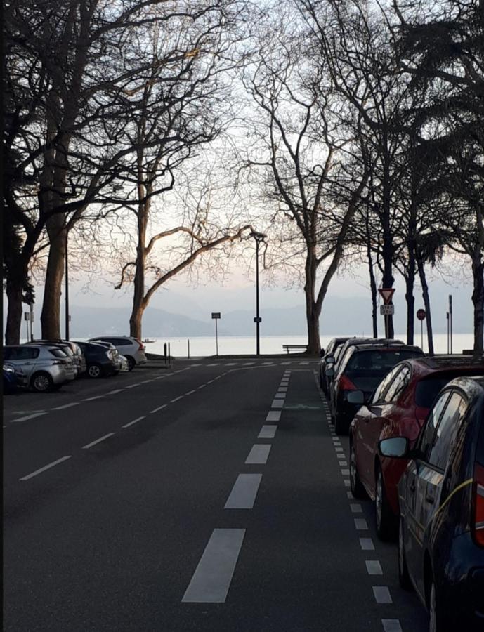 Appartement T1 Bis, 50m Du Annecy