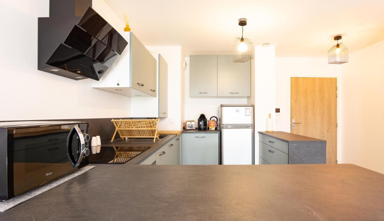 85 Geneve Confortable T2 Avec Parking Prive Apartment *