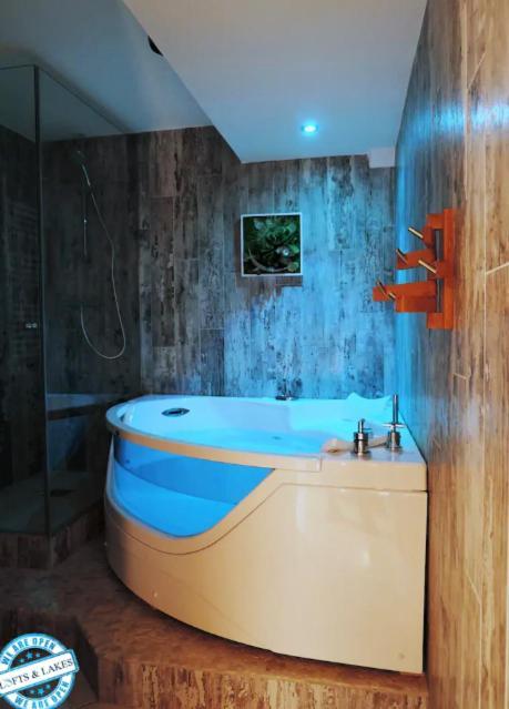 Le Cocon - Jacuzzi Et Sauna En Vieille Annecy
