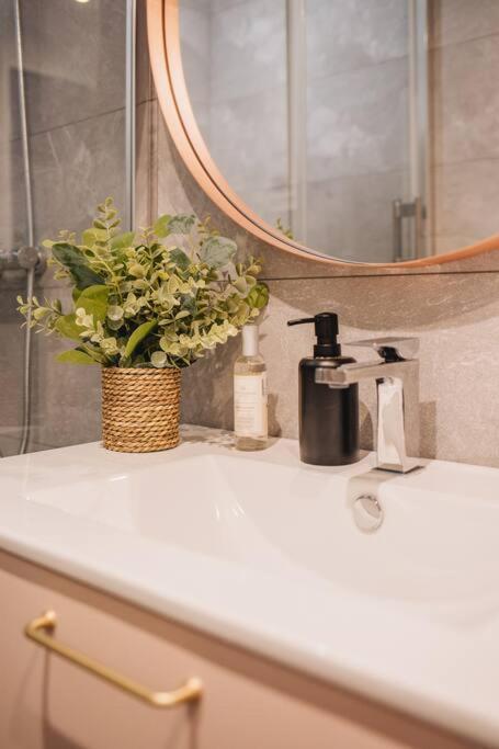 Apartamento La Vie En Rose - Luxe, Calme & Hypercentre - 3* Annecy