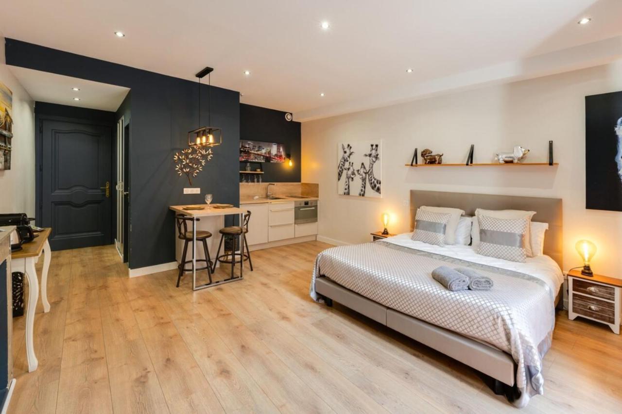 Charming In The Heart Of The Pedestrian Area Appartement Annecy
