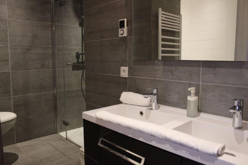 Le Jane : Centre Ville, Garage, Balcon Annecy