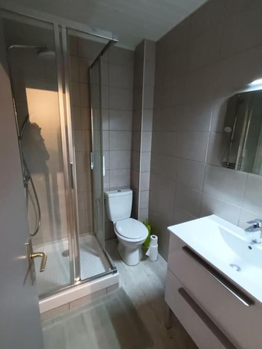 Duplex Avec Garage Centre Et Appartement *