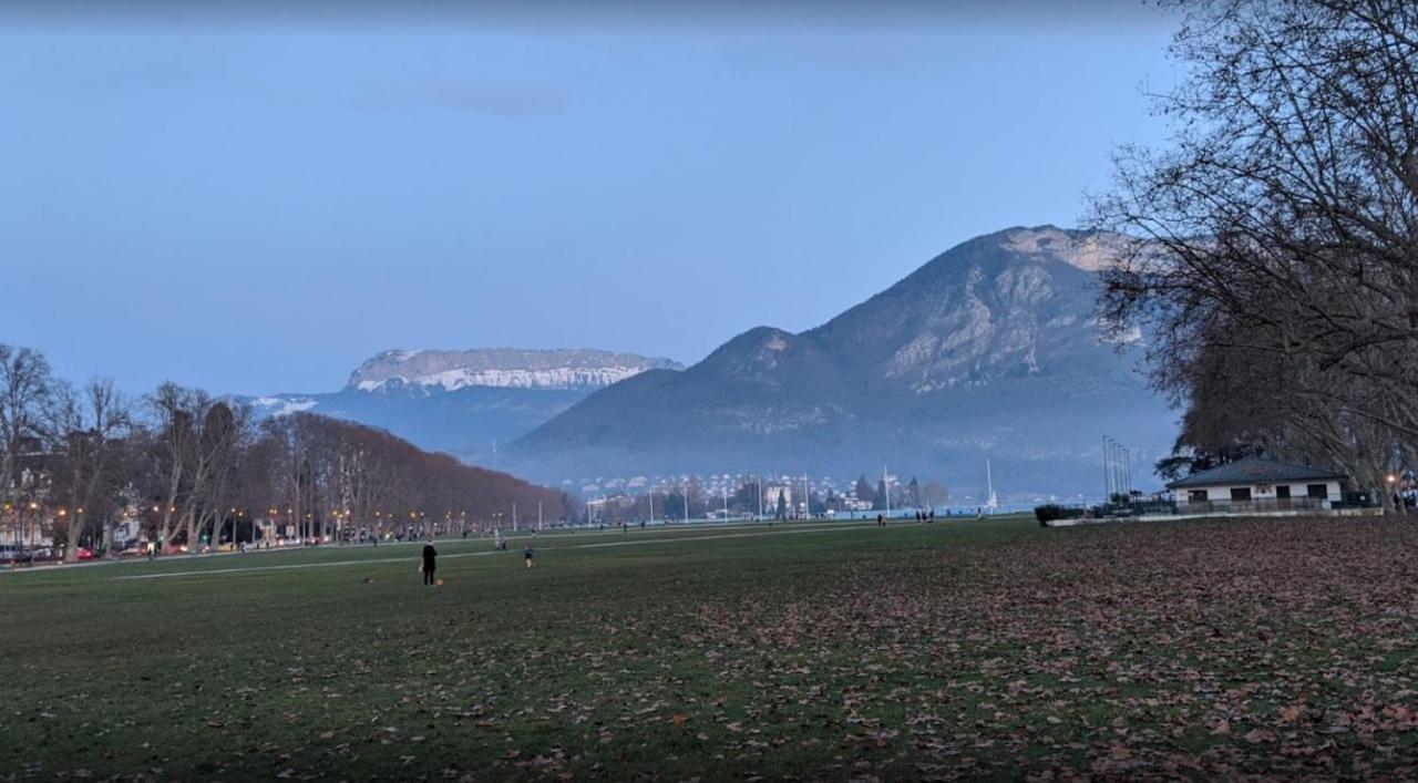 Diane 100 M Du Apartment Annecy