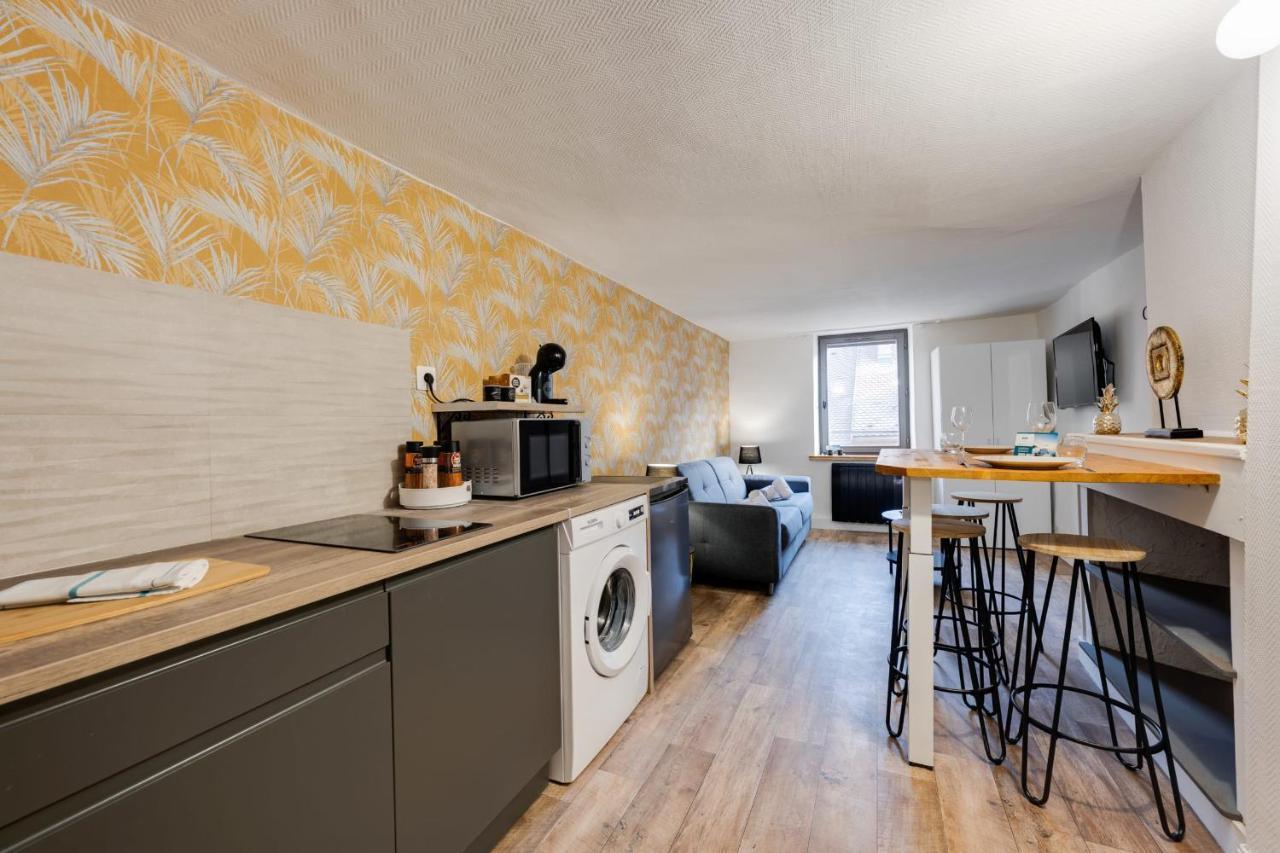 Le Cocon Carnot - Studio Cosy En Plein Coeur De La D'annecy *
