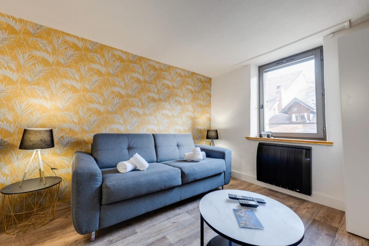 Le Cocon Carnot - Studio Cosy En Plein Coeur De La D'annecy Appartement