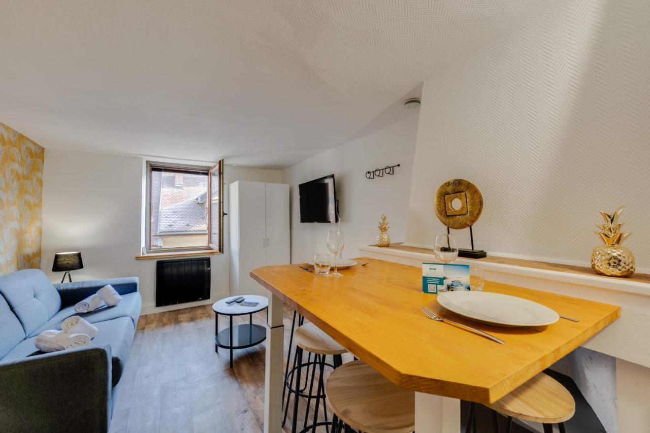 Apartment Le Cocon Carnot - Studio Cosy En Plein Coeur De La D'annecy Annecy