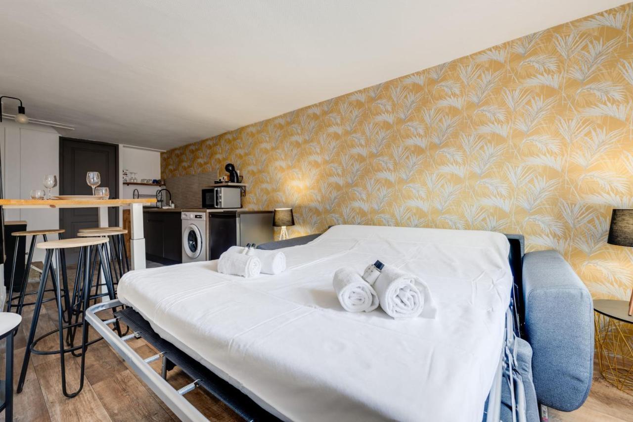 Appartement Le Cocon Carnot - Studio Cosy En Plein Coeur De La D'annecy *