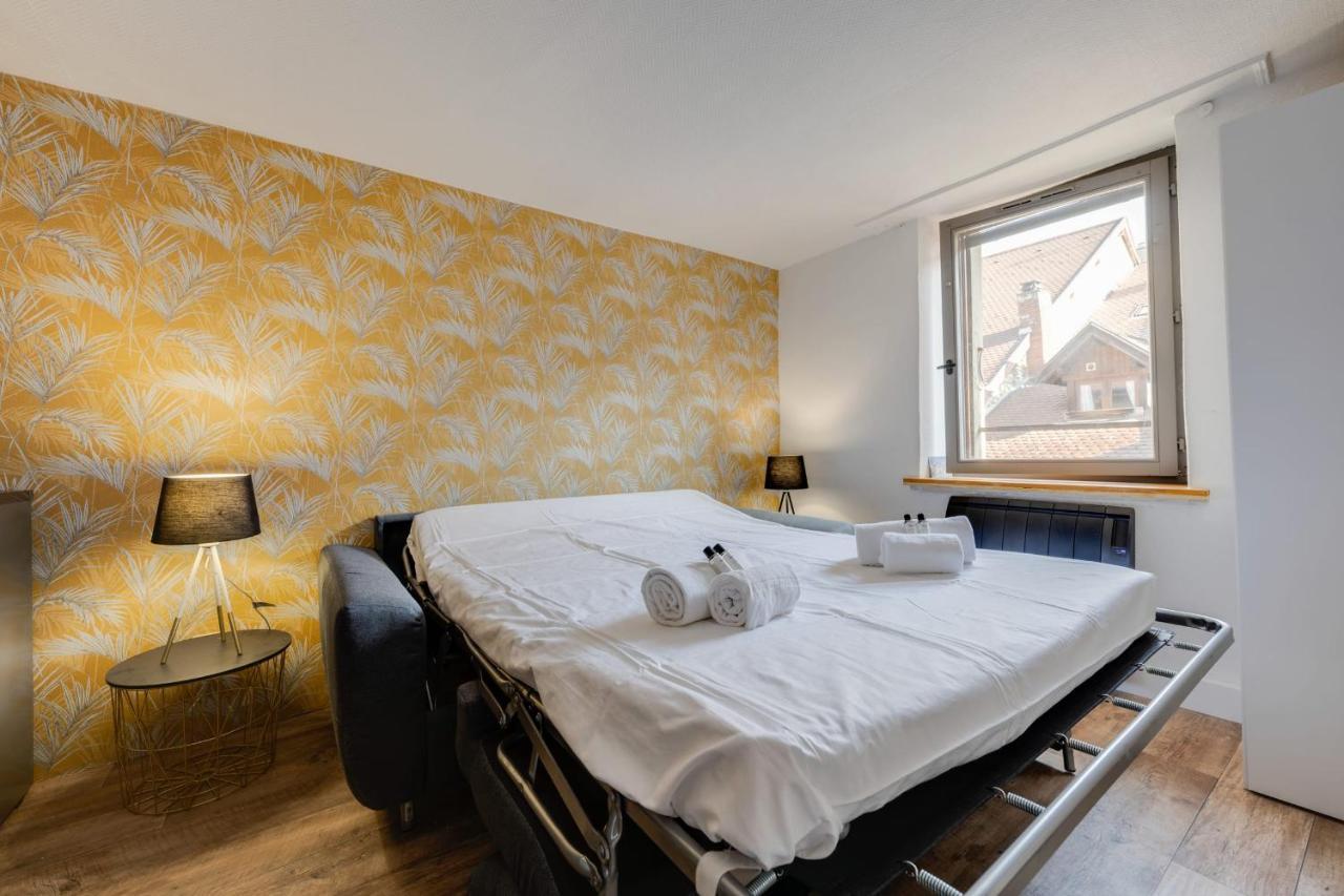Le Cocon Carnot - Studio Cosy En Plein Coeur De La D'annecy *