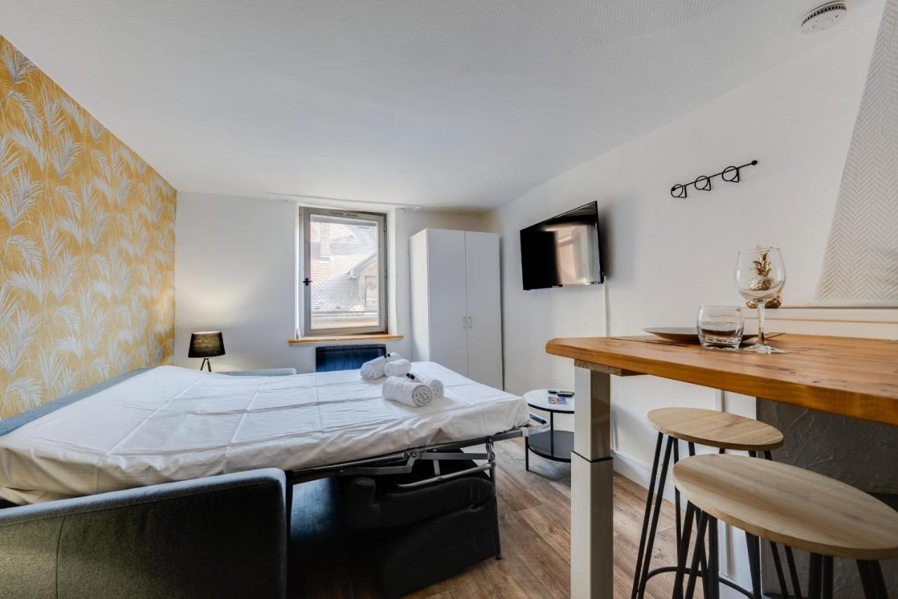 Le Cocon Carnot - Studio Cosy En Plein Coeur De La D'annecy Appartement *
