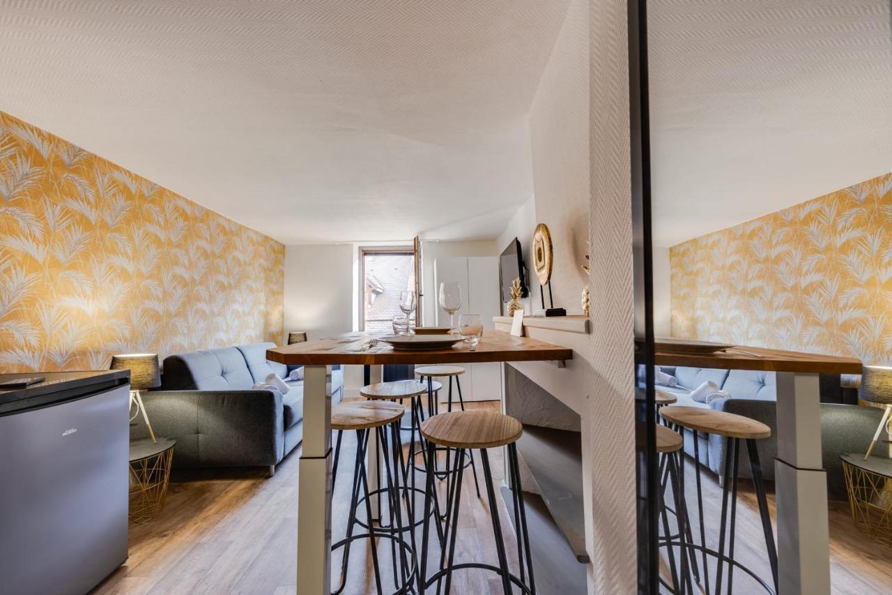 Appartement Le Cocon Carnot - Studio Cosy En Plein Coeur De La D'annecy Annecy