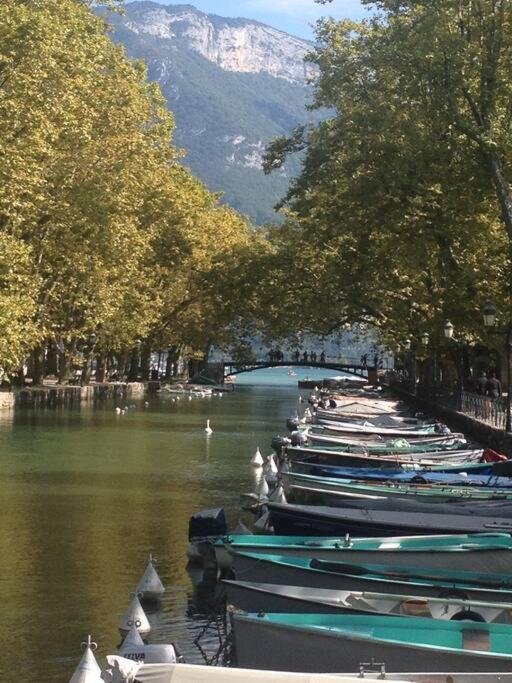 Les Marmottes Du Apartment Annecy