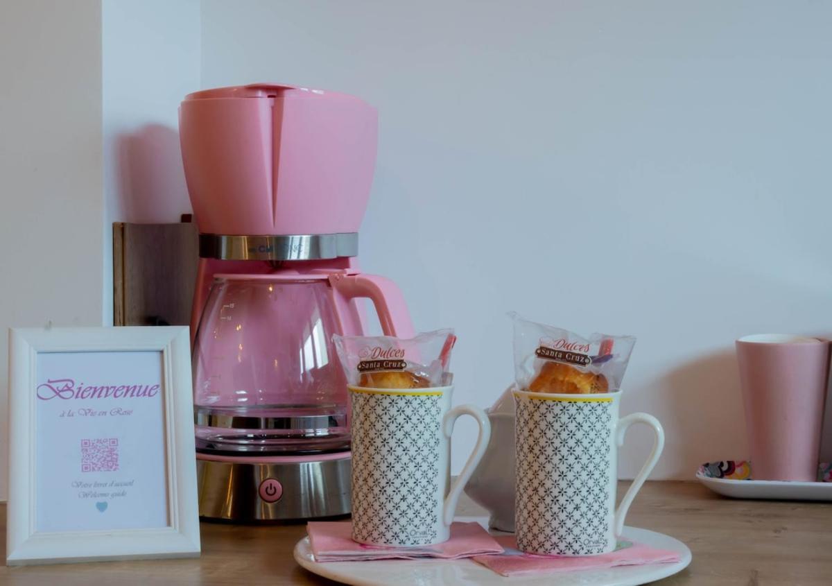 Appartement Vie En Rose Parking 2 Min Du Annecy
