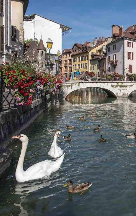 Alpin Mimosa 5 Min Vieille Apartment Annecy