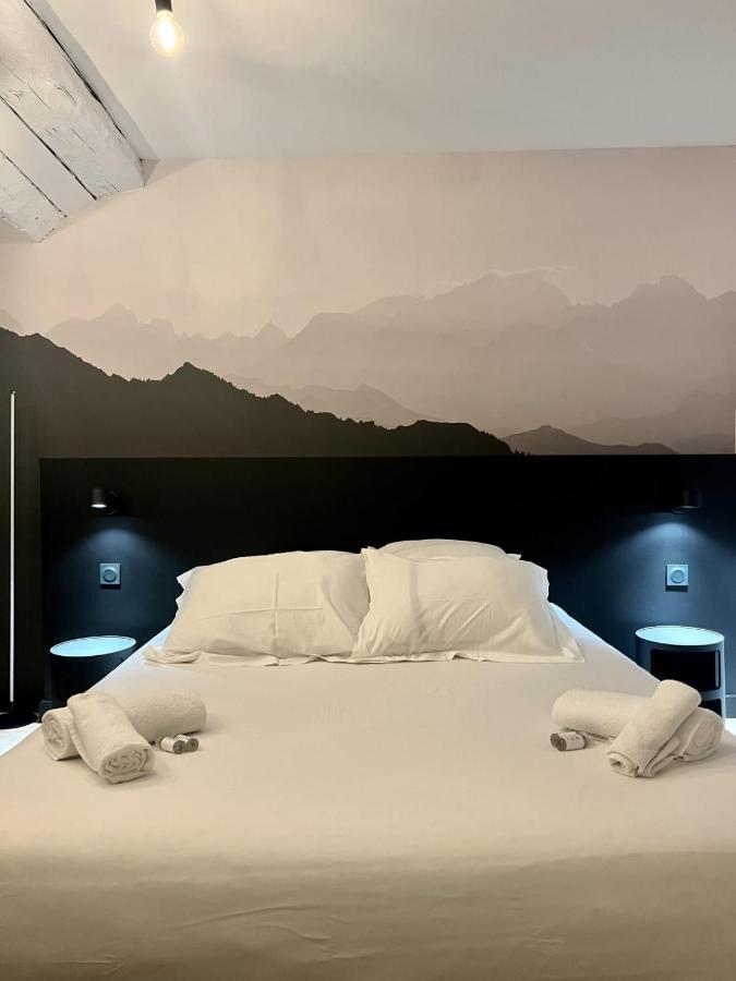 Le Loft Carnot - In The Heart Of The * Annecy