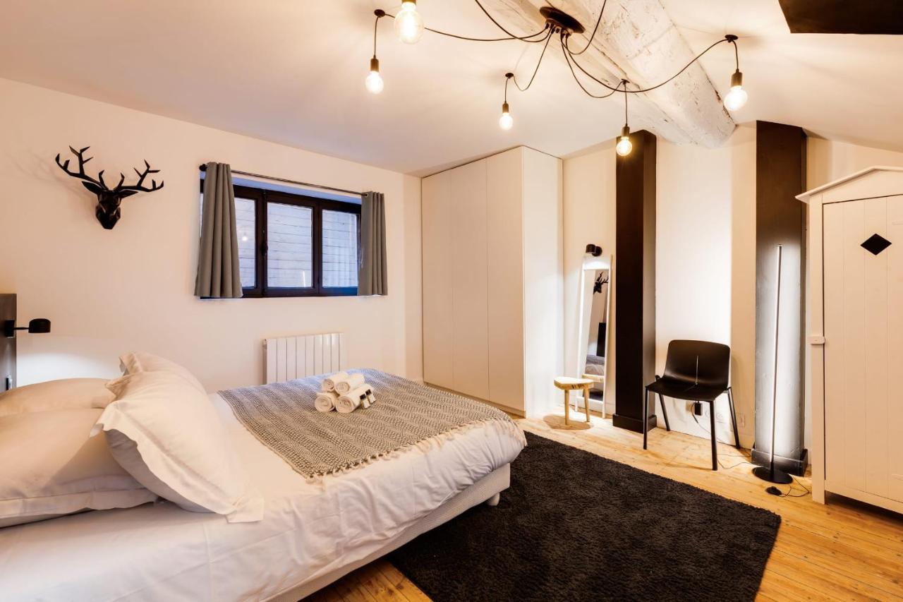 Le Loft Carnot - In The Heart Of The Apartment Annecy