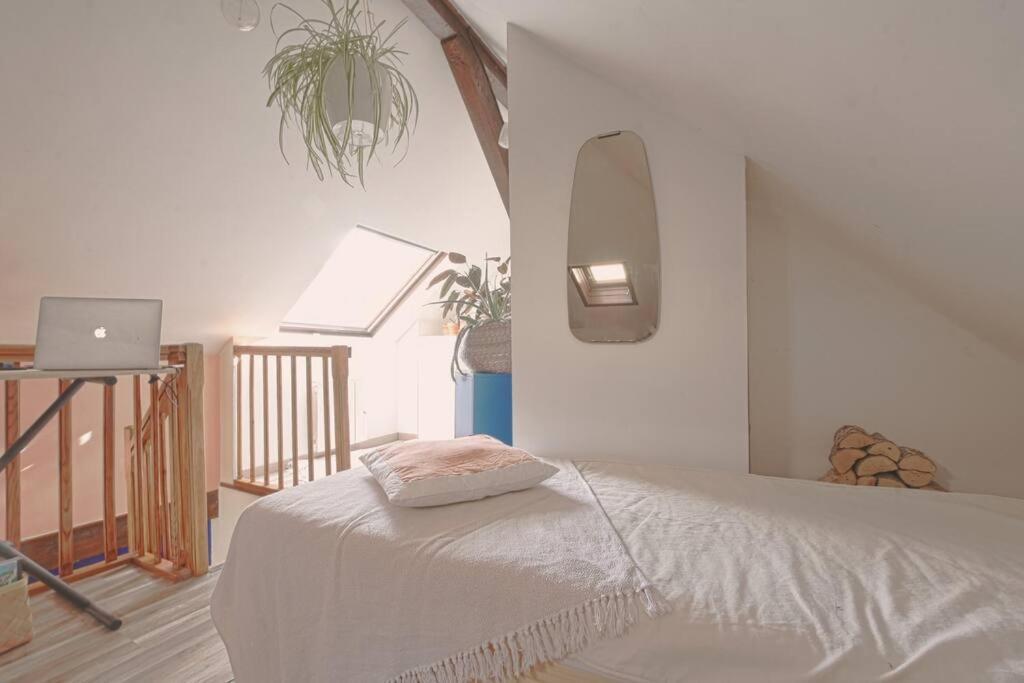 Appartement Two Bathrooms And Wc, Fireplace, Historical Center Annecy