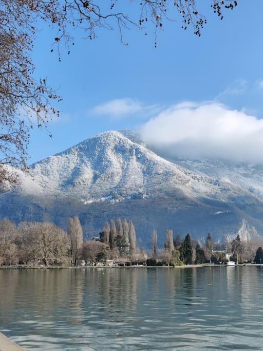 Two Bathrooms And Wc, Fireplace, Historical Center * Annecy