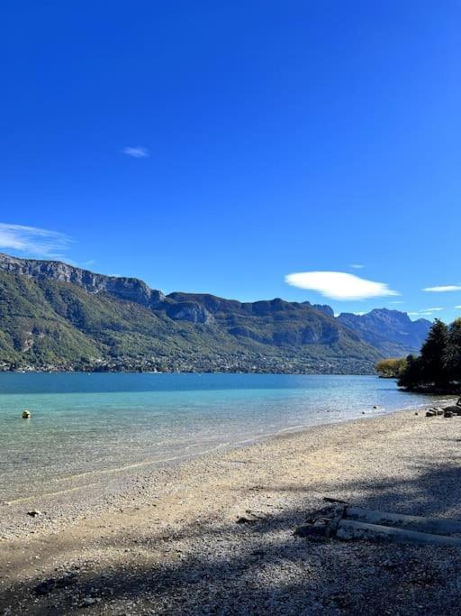 Appartement Two Bathrooms And Wc, Fireplace, Historical Center Annecy