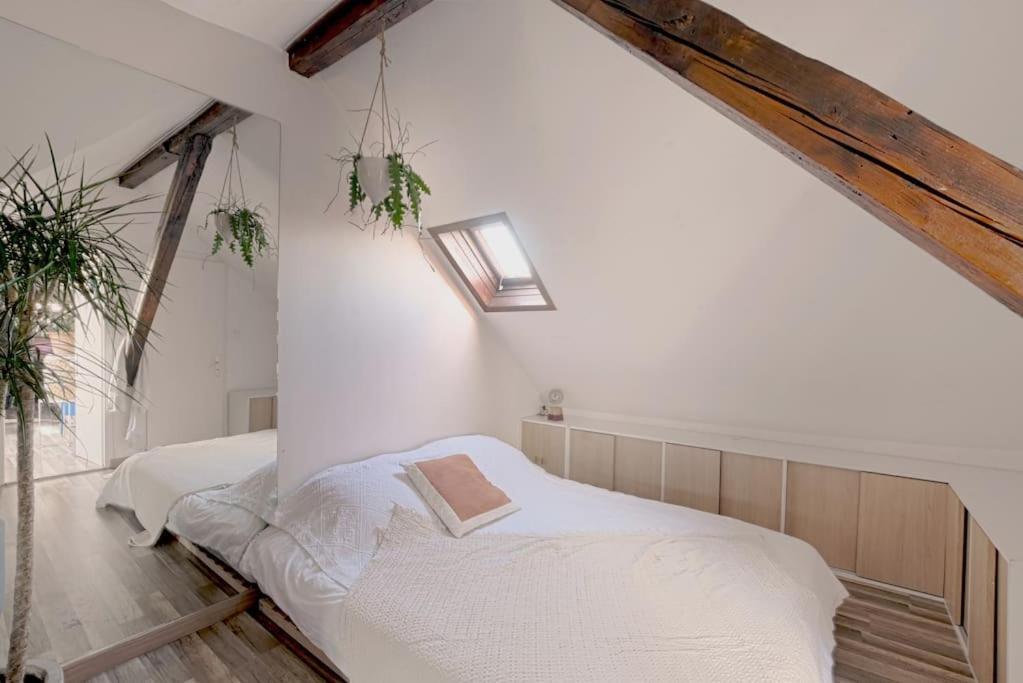Two Bathrooms And Wc, Fireplace, Historical Center *