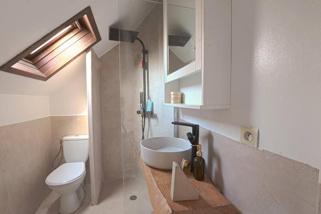 Appartement Two Bathrooms And Wc, Fireplace, Historical Center Annecy