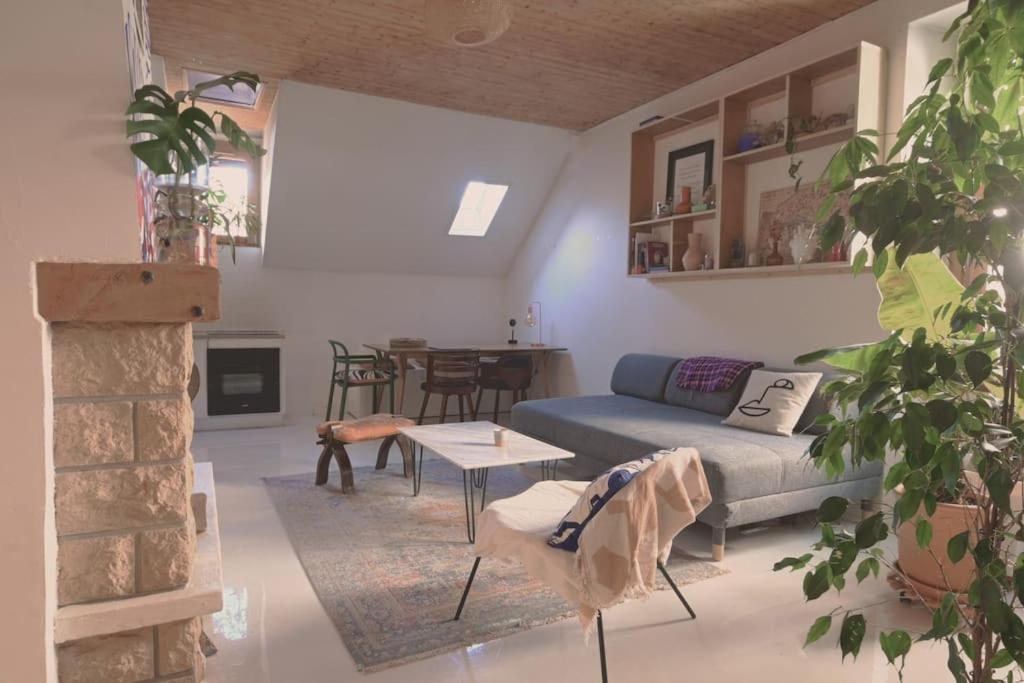 Appartement Two Bathrooms And Wc, Fireplace, Historical Center