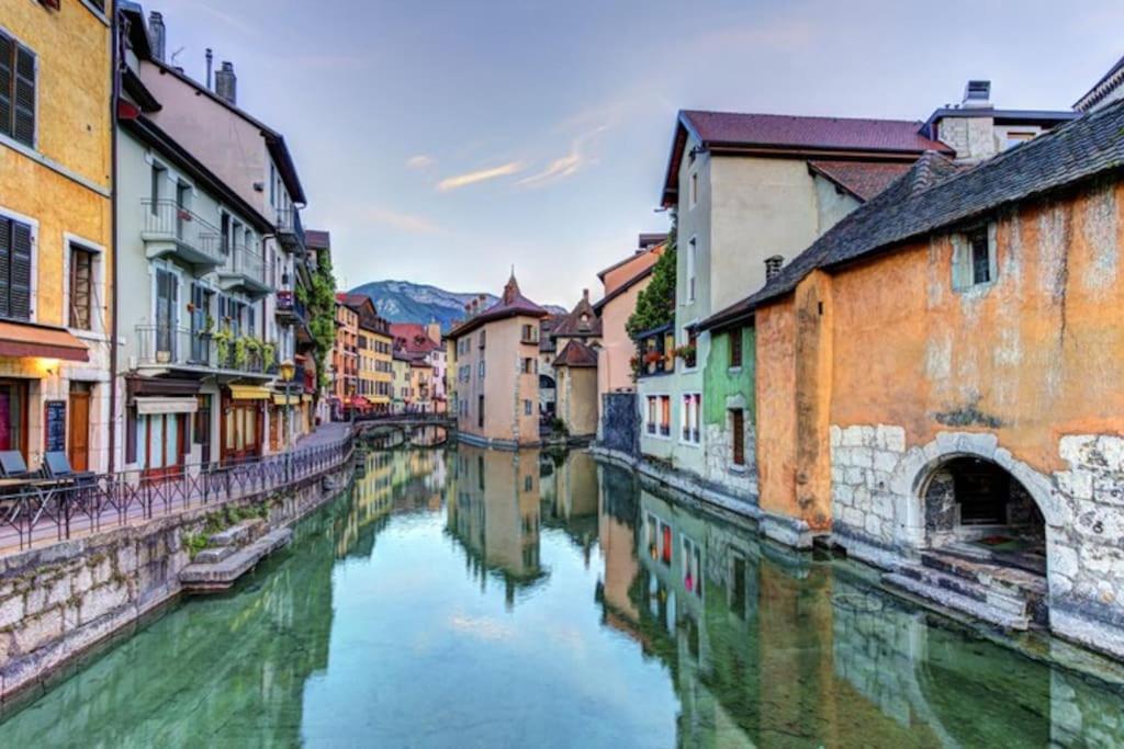 Apartment La Perle Carnot - Vieille