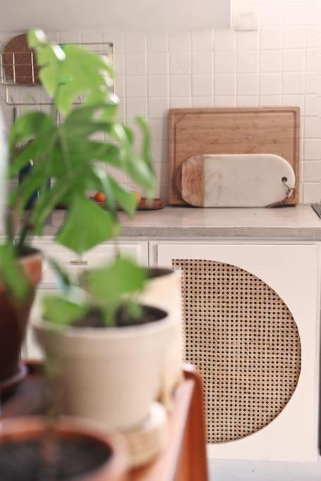 Appartement Two Bathrooms And Wc, Fireplace, Historical Center