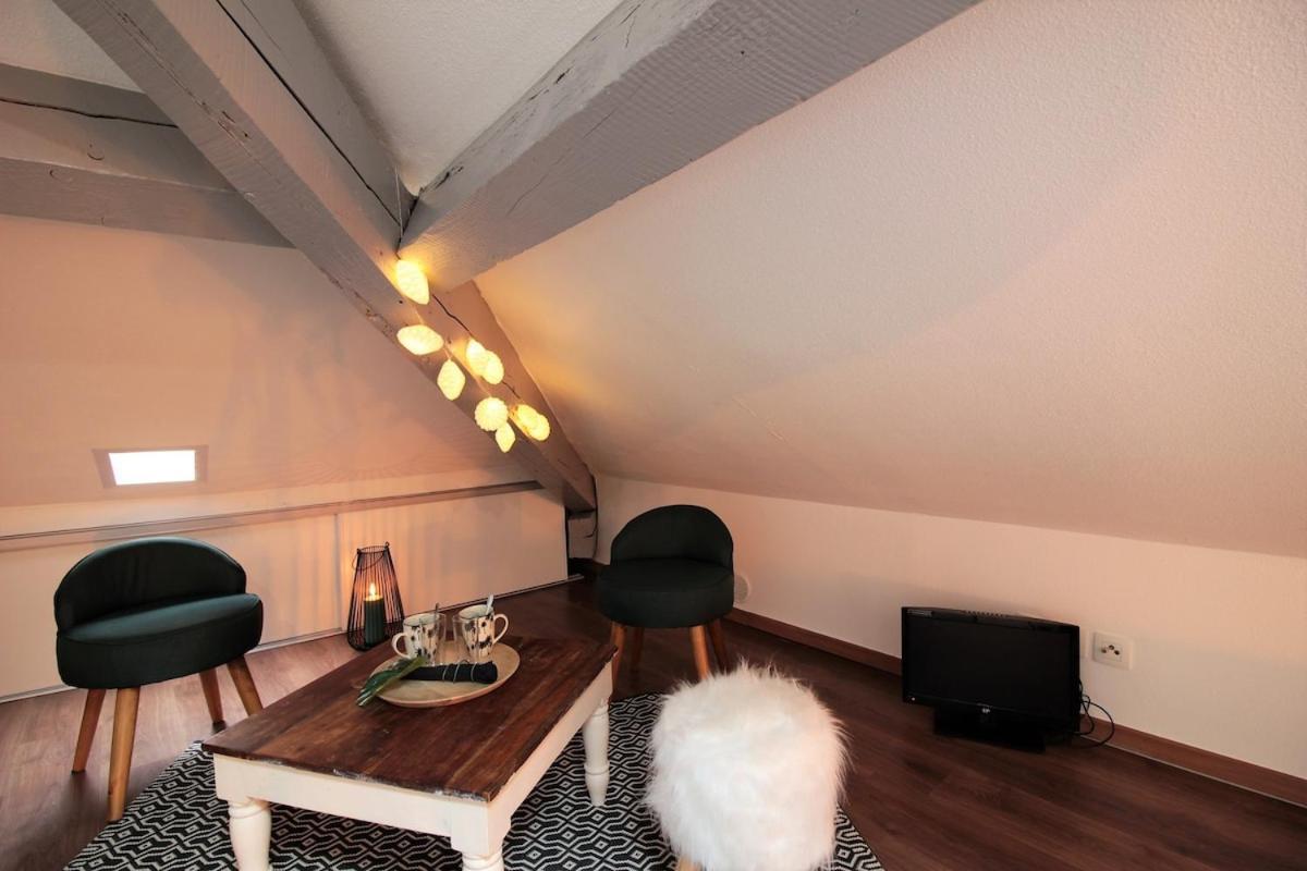 Apartment Grenier Du 100 M Du *