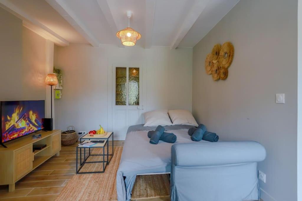Apartment L'instant Paquier 3 Etoiles - Vieille Ville, Face Au Lac, 6 Personnes Annecy