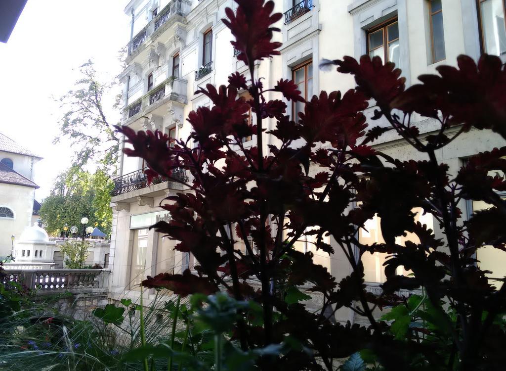 Un En O Fil De L'o Appartement Annecy