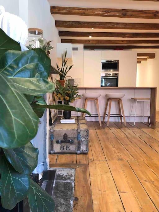 Apartment Situation Exceptionnelle Entre Et Rue Pietonne