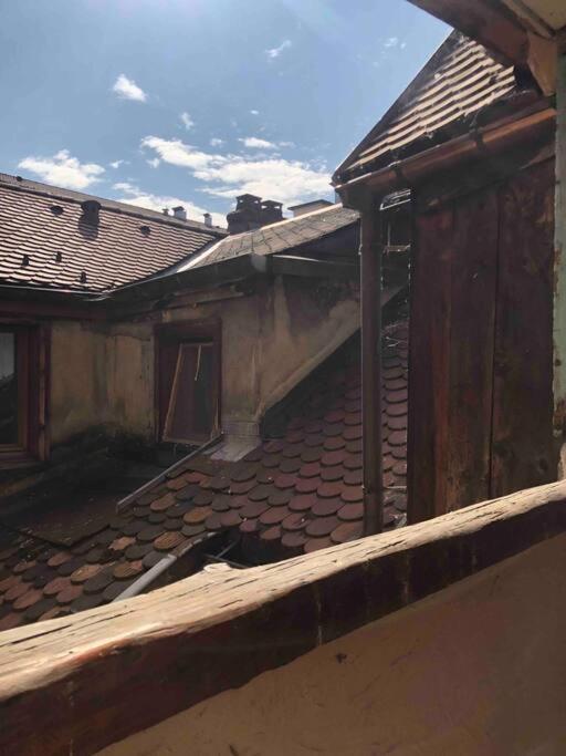 Situation Exceptionnelle Entre Et Rue Pietonne Apartment *