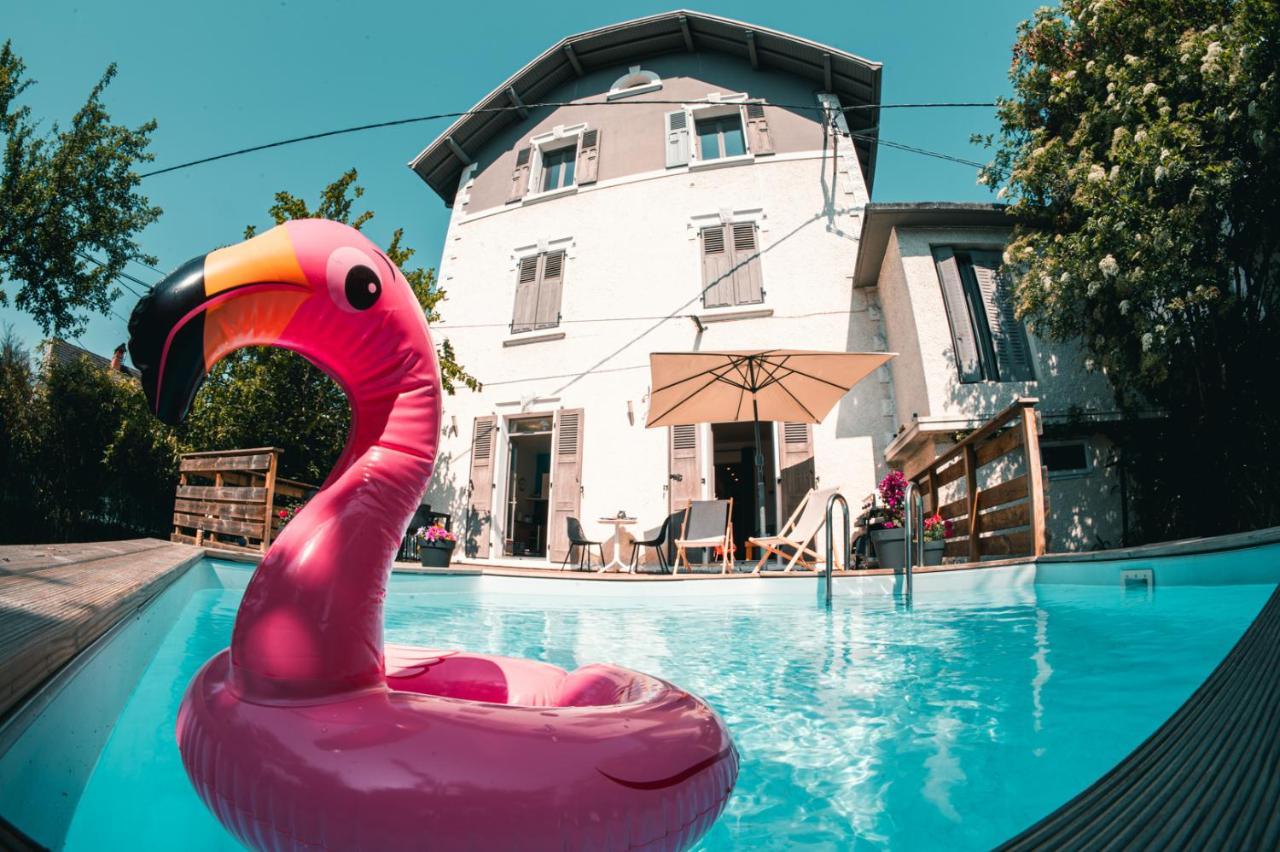 Le Serenite - T3 En Maison De Avec Piscine Appartement