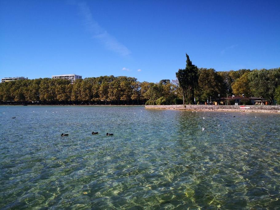 Moderne, Place Parking Prive, Emplacement Ideal A 100 M Du Lac. Apartment *