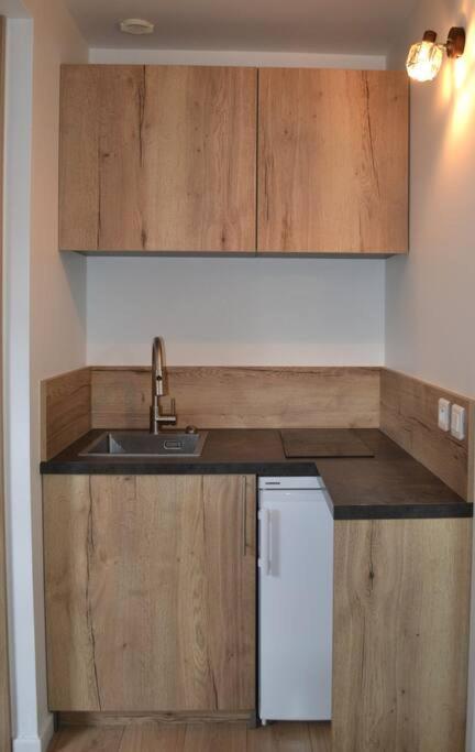 Apartment Le Filaterie Sous Les Toits Annecy