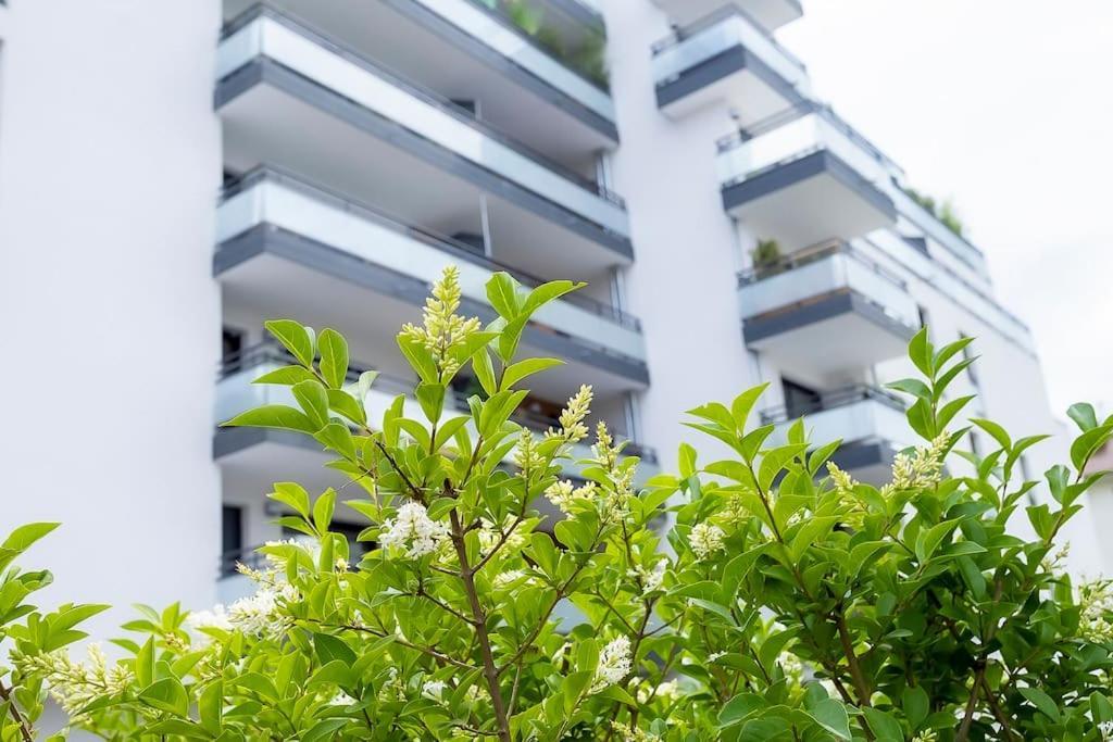 Le Nid Des Romains - T2 Neuf - Balcon - Vue Apartamento *