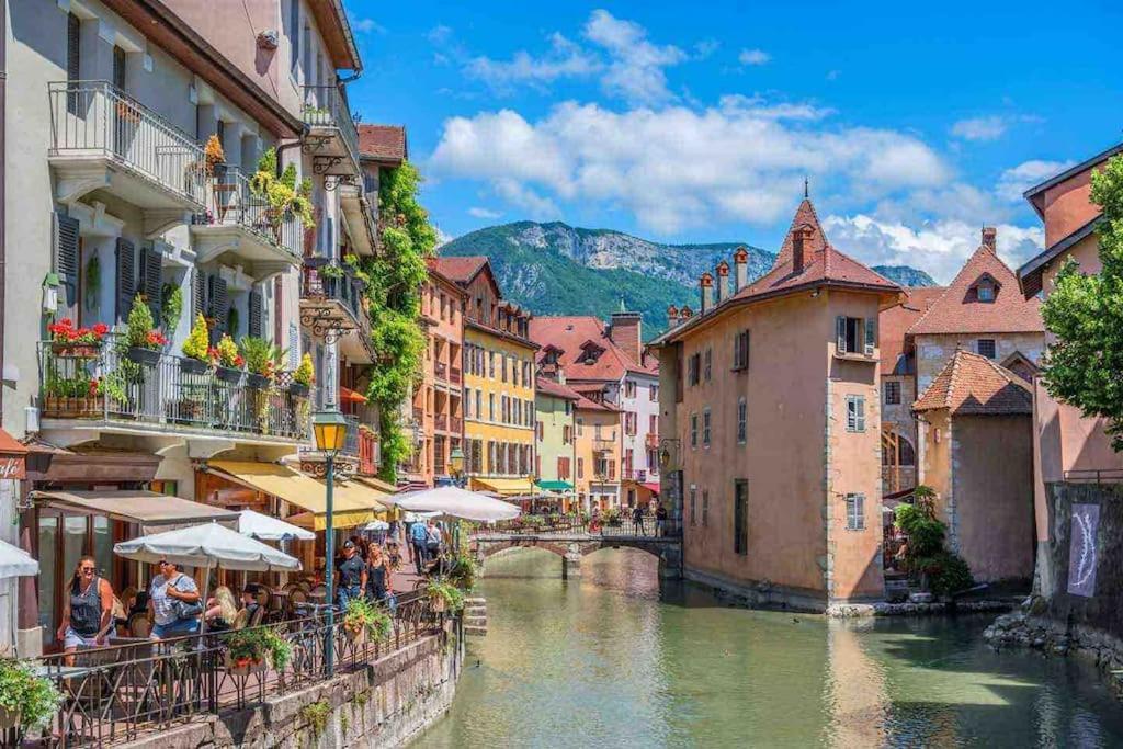 Appartement La Perle Du Thiou - T3 Au Centre D'annecy Avec Parking Prive Annecy